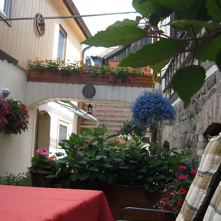 Ferienwohnung An Der Brockenbahn Wernigerode Buitenkant foto